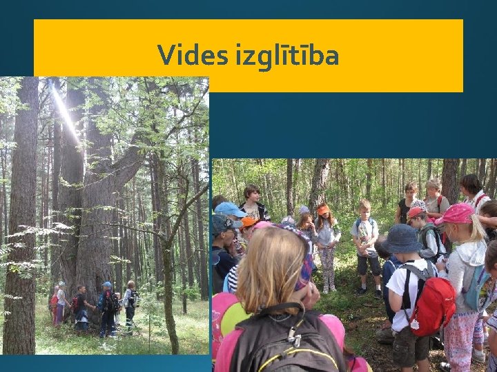 Vides izglītība 