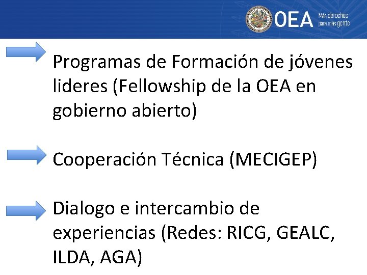 Programas de Formación de jóvenes lideres (Fellowship de la OEA en gobierno abierto) Cooperación