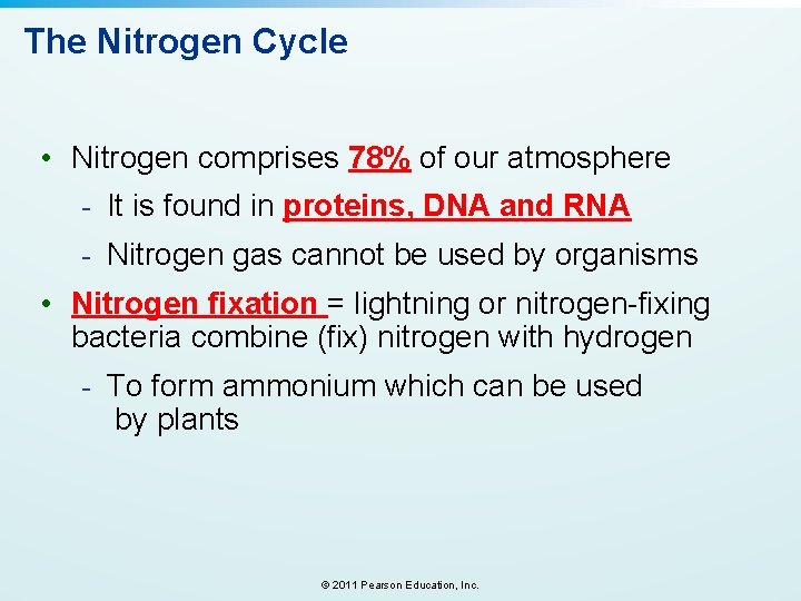 The Nitrogen Cycle • Nitrogen comprises 78% of our atmosphere - It is found The Nitrogen Cycle • Nitrogen comprises 78% of our atmosphere - It is found