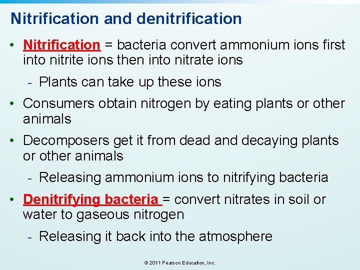 Nitrification and denitrification • Nitrification = bacteria convert ammonium ions first into nitrite ions