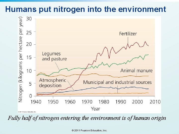 Humans put nitrogen into the environment Fully half of nitrogen entering the environment is