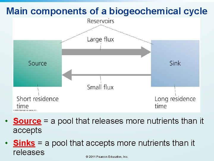 Main components of a biogeochemical cycle • Source = a pool that releases more