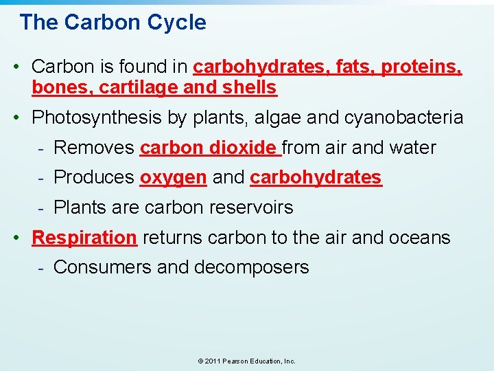 The Carbon Cycle • Carbon is found in carbohydrates, fats, proteins, bones, cartilage and