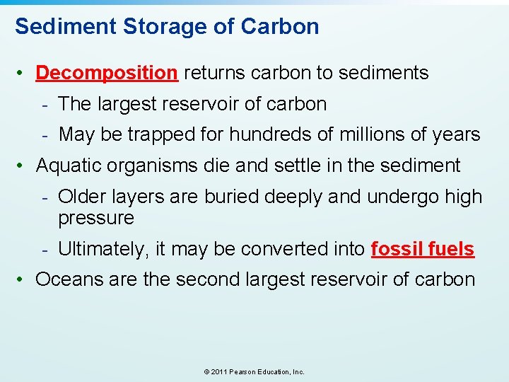 Sediment Storage of Carbon • Decomposition returns carbon to sediments - The largest reservoir