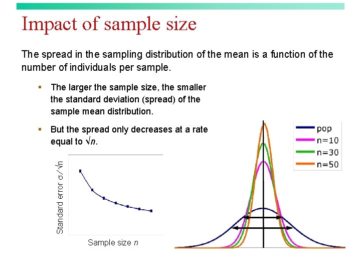 Impact of sample size The spread in the sampling distribution of the mean is