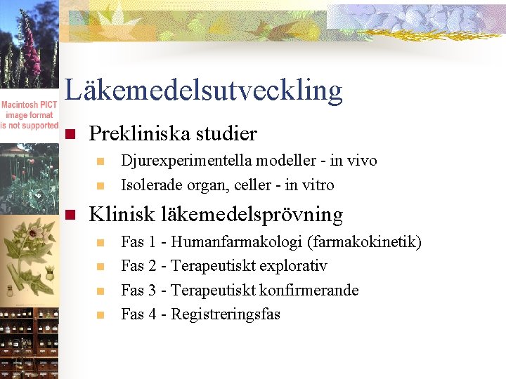 Läkemedelsutveckling n Prekliniska studier n n n Djurexperimentella modeller - in vivo Isolerade organ,