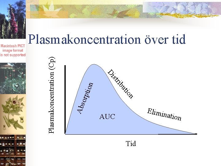 Di Abs orpt n io ut ion ib str Plasmakoncentration (Cp) Plasmakoncentration över tid