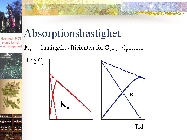 Absorptionshastighet Ka = -lutningskoefficienten för Cp teo - Cp uppmätt Log Cp Ka Ka
