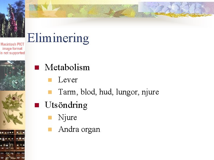 Eliminering n Metabolism n n n Lever Tarm, blod, hud, lungor, njure Utsöndring n