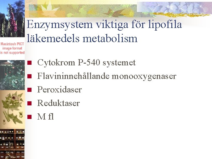 Enzymsystem viktiga för lipofila läkemedels metabolism n n n Cytokrom P-540 systemet Flavininnehållande monooxygenaser