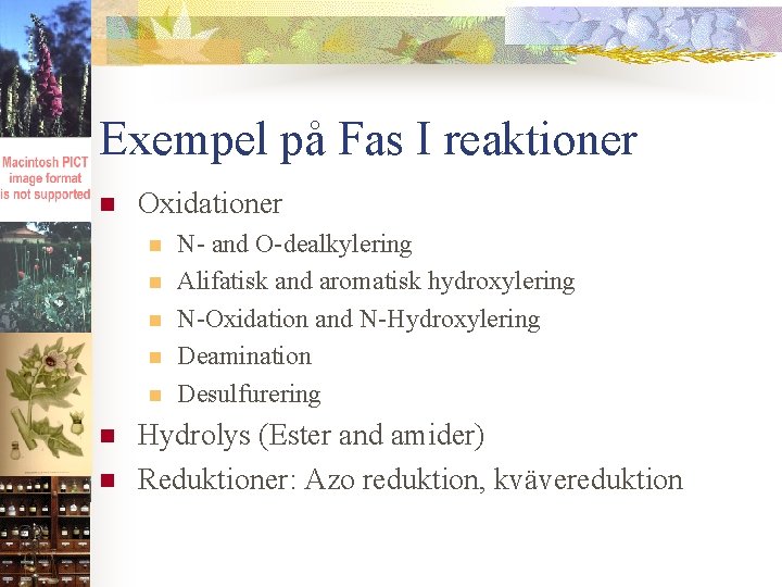 Exempel på Fas I reaktioner n Oxidationer n n n n N- and O-dealkylering