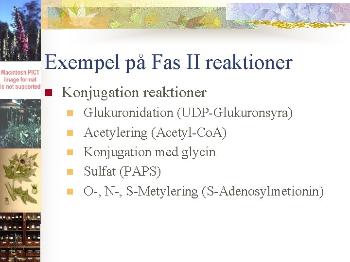 Exempel på Fas II reaktioner n Konjugation reaktioner n n n Glukuronidation (UDP-Glukuronsyra) Acetylering