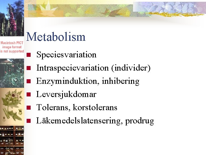 Metabolism n n n Speciesvariation Intraspecievariation (individer) Enzyminduktion, inhibering Leversjukdomar Tolerans, korstolerans Läkemedelslatensering, prodrug