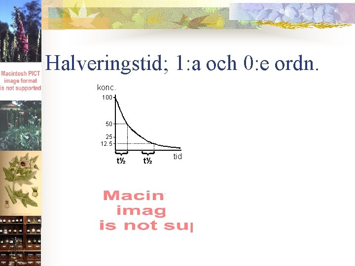 Halveringstid; 1: a och 0: e ordn. 