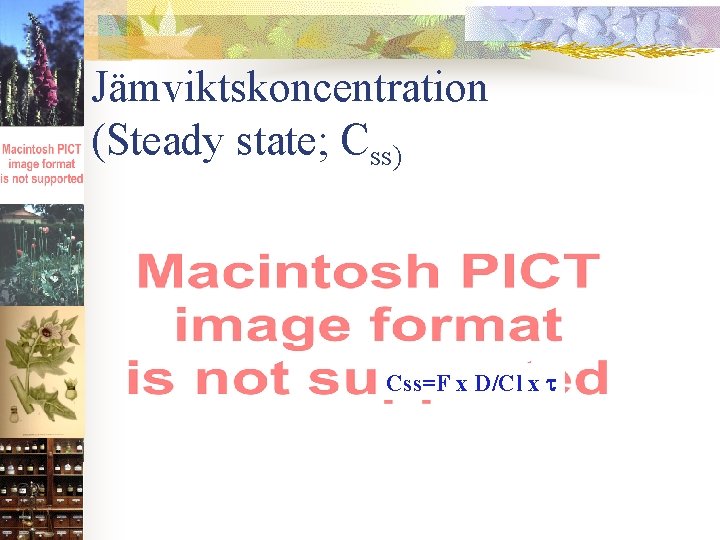 Jämviktskoncentration (Steady state; Css) Css=F x D/Cl x 