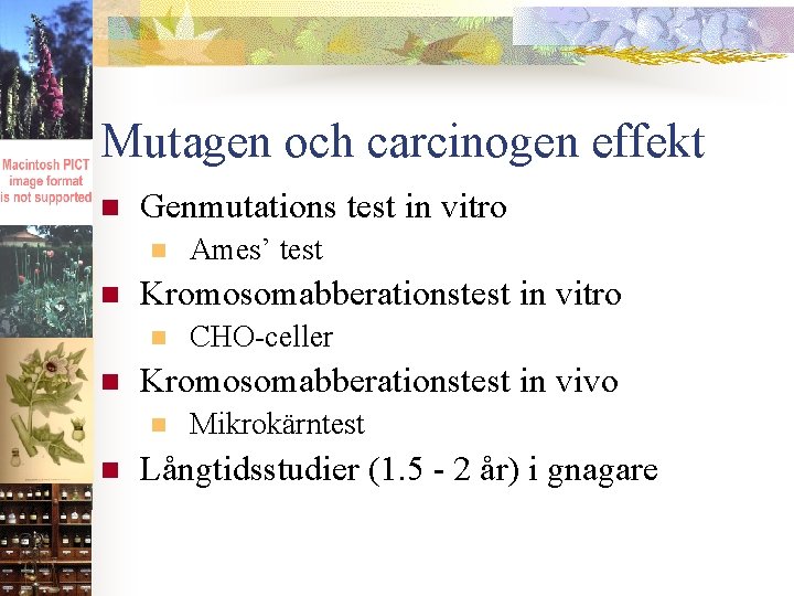 Mutagen och carcinogen effekt n Genmutations test in vitro n n Kromosomabberationstest in vitro