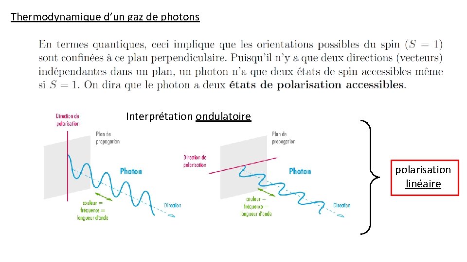 Thermodynamique d’un gaz de photons Interprétation ondulatoire polarisation linéaire 