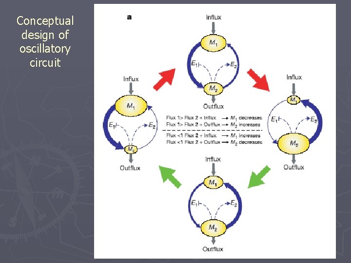 Conceptual design of oscillatory circuit 