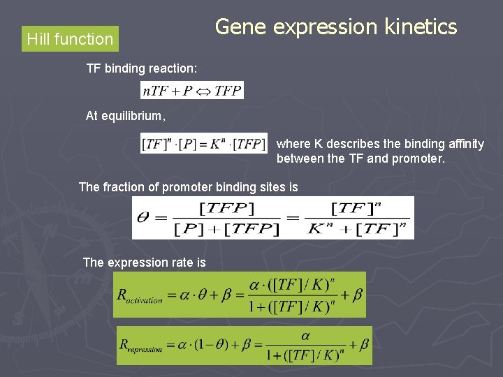 Hill function Gene expression kinetics TF binding reaction: At equilibrium, where K describes the