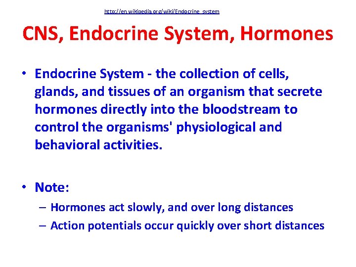 http: //en. wikipedia. org/wiki/Endocrine_system CNS, Endocrine System, Hormones • Endocrine System - the collection