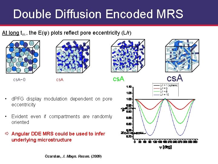 Resolving Cellular Specific Microarchitectures Using Double Pulsed Field