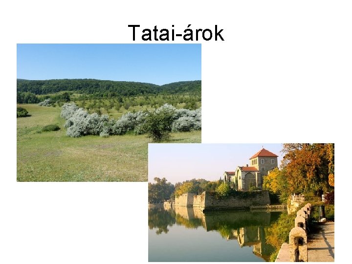 Tatai-árok 