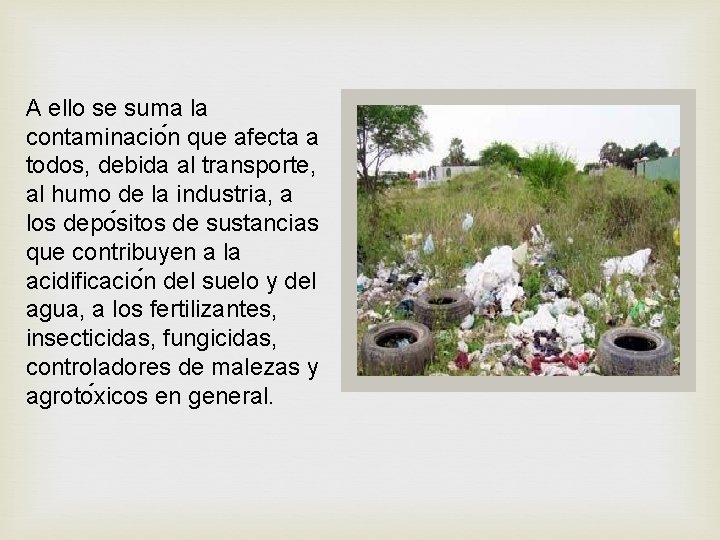 A ello se suma la contaminacio n que afecta a todos, debida al transporte,