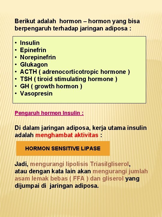 Berikut adalah hormon – hormon yang bisa berpengaruh terhadap jaringan adiposa : • •