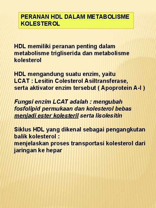 PERANAN HDL DALAM METABOLISME KOLESTEROL HDL memiliki peranan penting dalam metabolisme trigliserida dan metabolisme