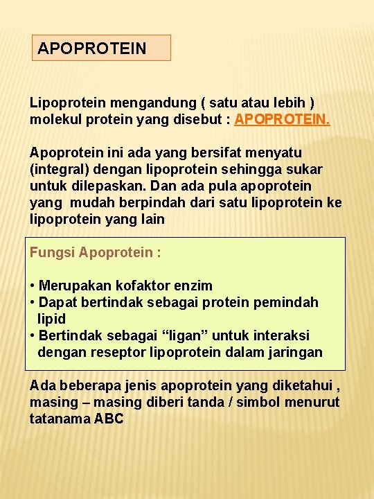 APOPROTEIN Lipoprotein mengandung ( satu atau lebih ) molekul protein yang disebut : APOPROTEIN.