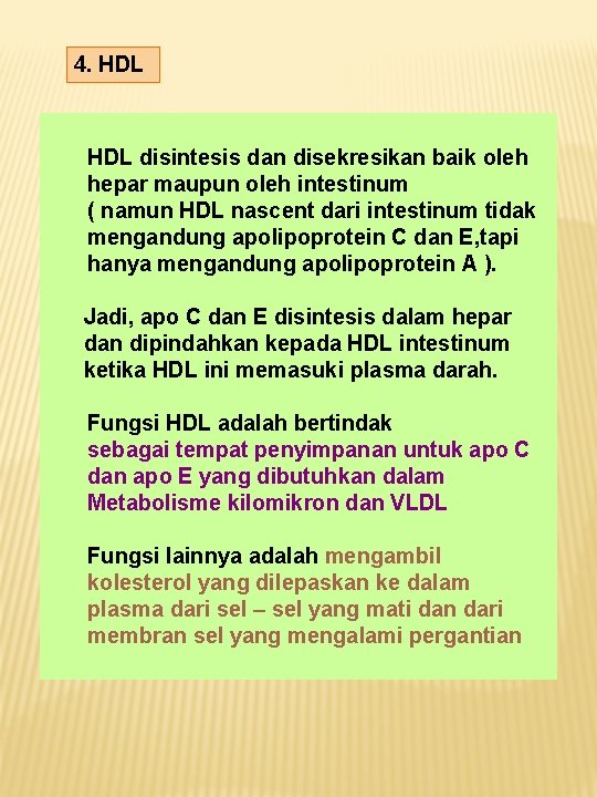 4. HDL disintesis dan disekresikan baik oleh hepar maupun oleh intestinum ( namun HDL