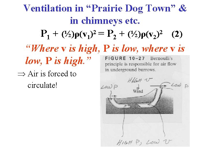 Ventilation in “Prairie Dog Town” & in chimneys etc. P 1 + (½)ρ(v 1)2