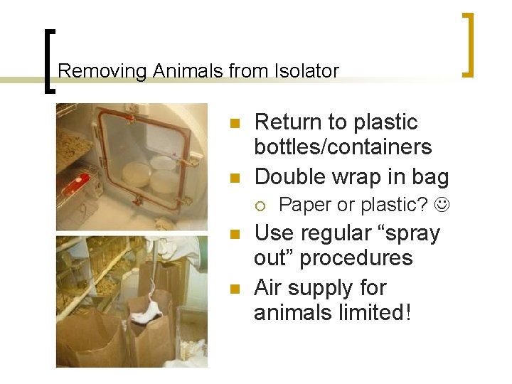 Removing Animals from Isolator n n Return to plastic bottles/containers Double wrap in bag