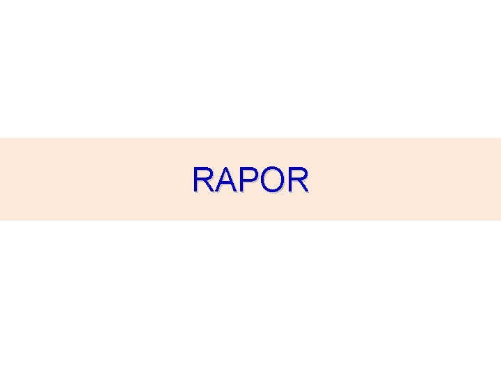 RAPOR 