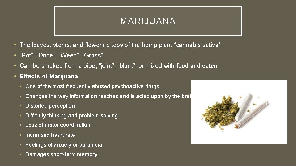 MARIJUANA • The leaves, stems, and flowering tops of the hemp plant “cannabis sativa”