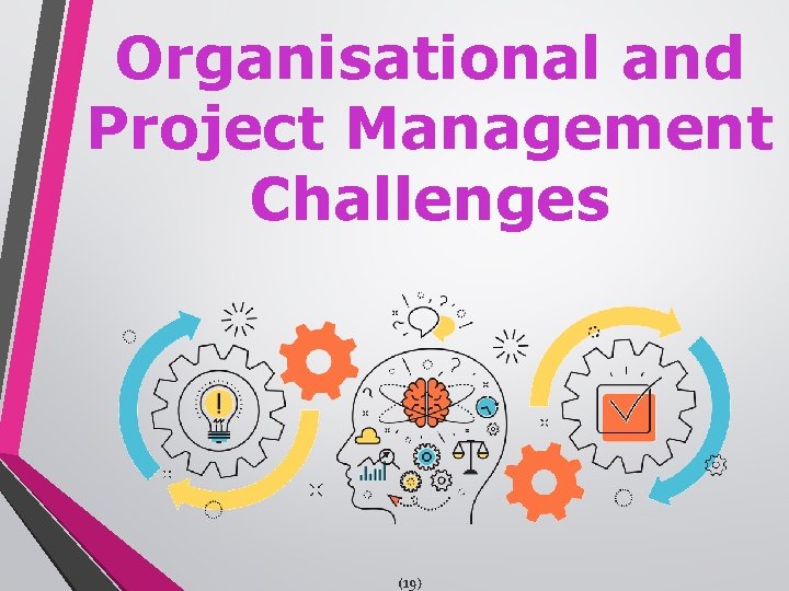 Organisational and Project Management Challenges (19) 