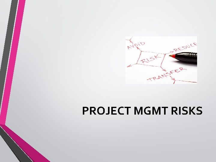 PROJECT MGMT RISKS 