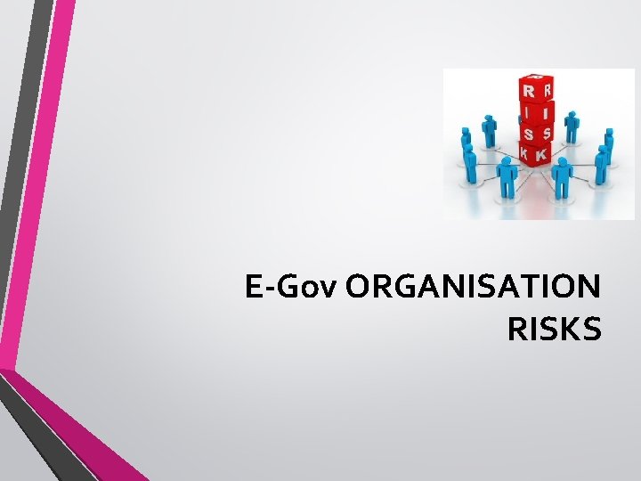 E-Gov ORGANISATION RISKS 