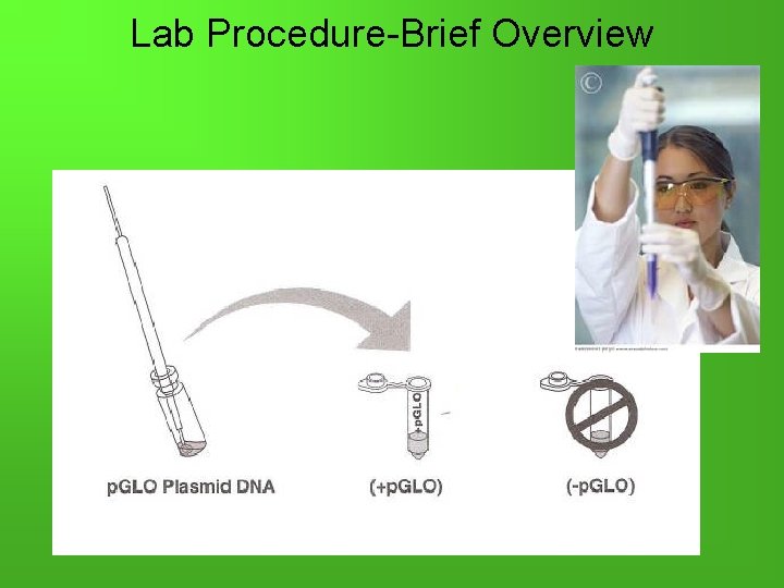 Lab Procedure-Brief Overview 