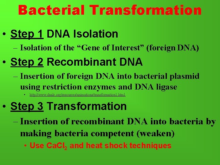 Bacterial Transformation • Step 1 DNA Isolation – Isolation of the “Gene of Interest”