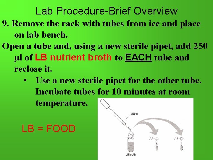 Lab Procedure-Brief Overview 9. Remove the rack with tubes from ice and place on