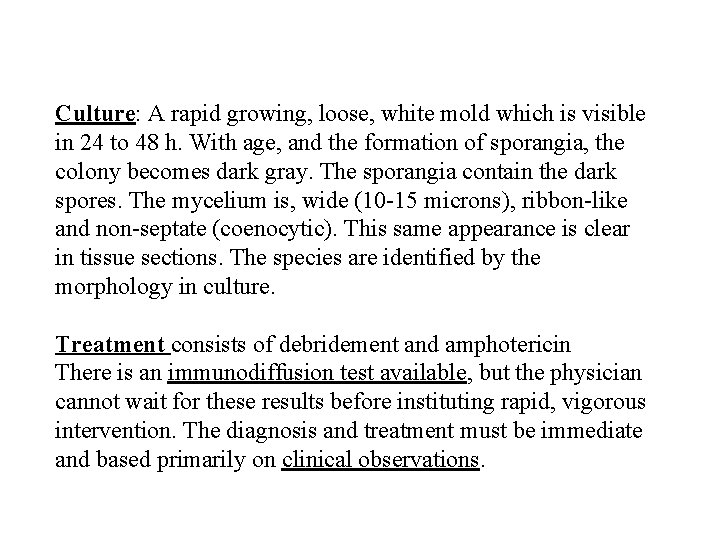 Culture: A rapid growing, loose, white mold which is visible in 24 to 48