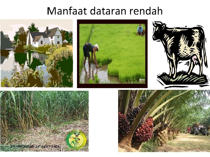 Manfaat dataran rendah 