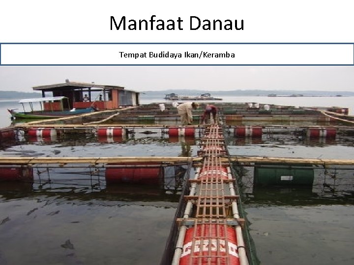 Manfaat Danau Tempat Budidaya Ikan/Keramba 