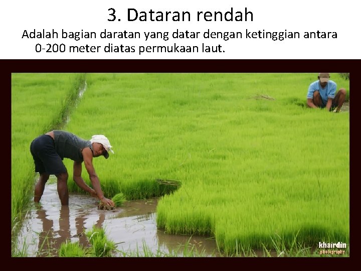 3. Dataran rendah Adalah bagian daratan yang datar dengan ketinggian antara 0 -200 meter