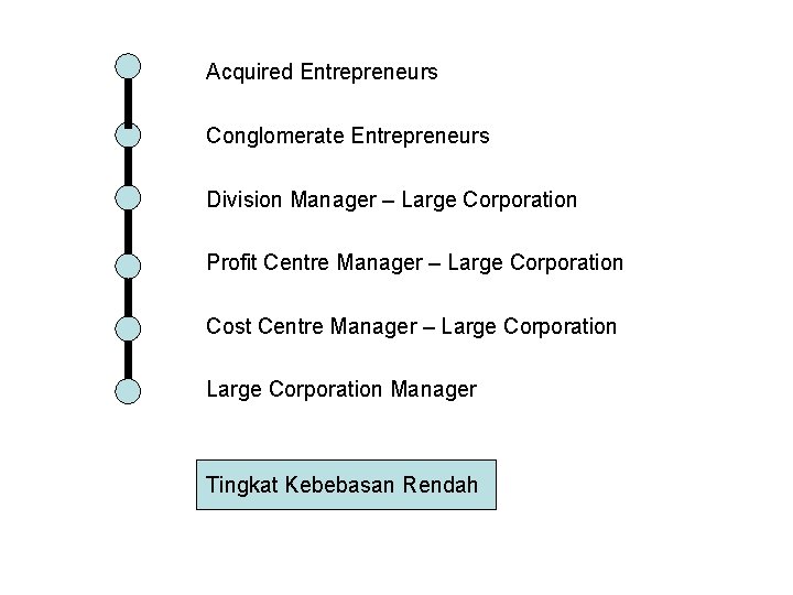 Acquired Entrepreneurs Conglomerate Entrepreneurs Division Manager – Large Corporation Profit Centre Manager – Large
