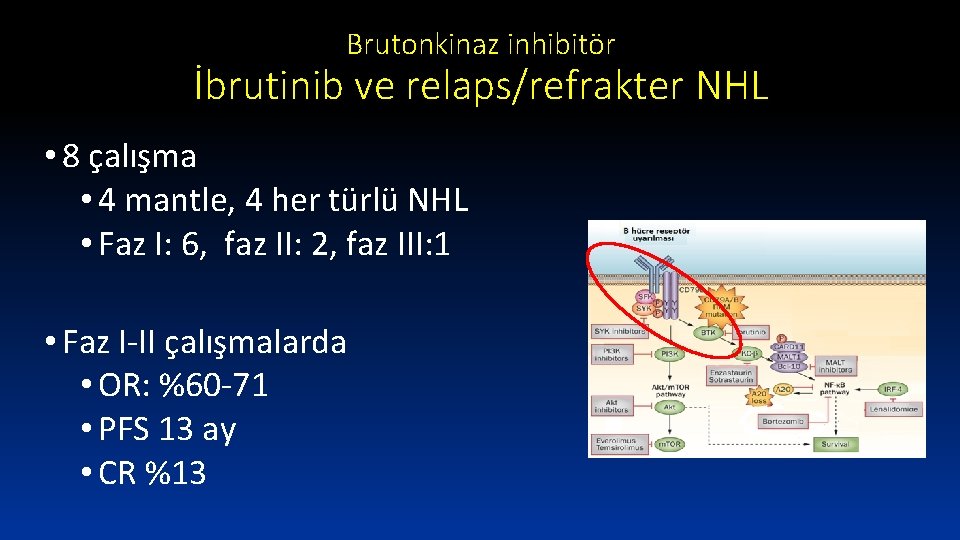 Brutonkinaz inhibitör İbrutinib ve relaps/refrakter NHL • 8 çalışma • 4 mantle, 4 her