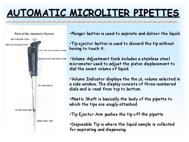 AUTOMATIC MICROLITER PIPETTES • Plunger button is used to aspirate and deliver the liquid. AUTOMATIC MICROLITER PIPETTES • Plunger button is used to aspirate and deliver the liquid.