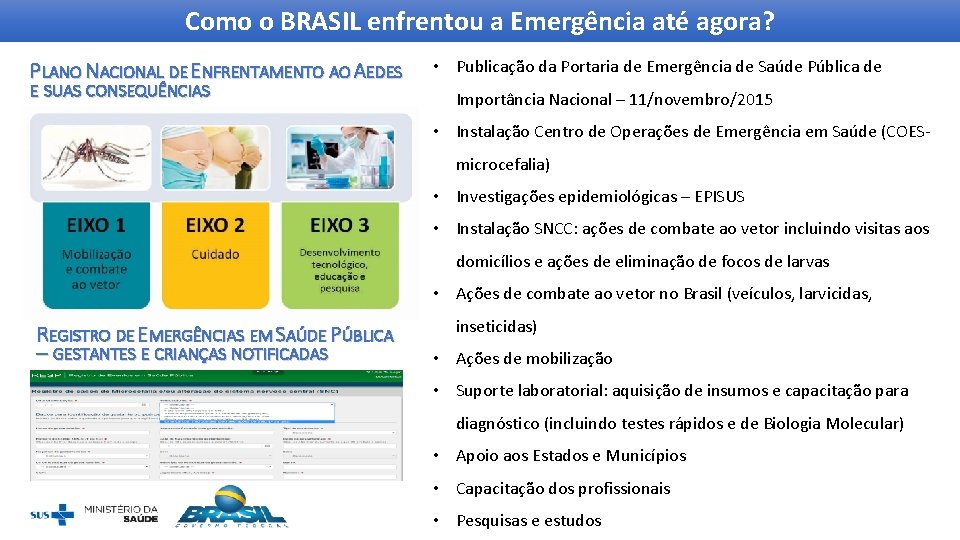 Como o BRASIL enfrentou a Emergência até agora? PLANO NACIONAL DE ENFRENTAMENTO AO AEDES