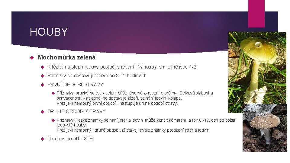 HOUBY Mochomůrka zelená K těžkému stupni otravy postačí snědení i ¼ houby, smrtelné jsou